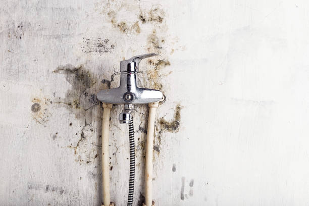Water Damage Restoration in Romeoville, IL