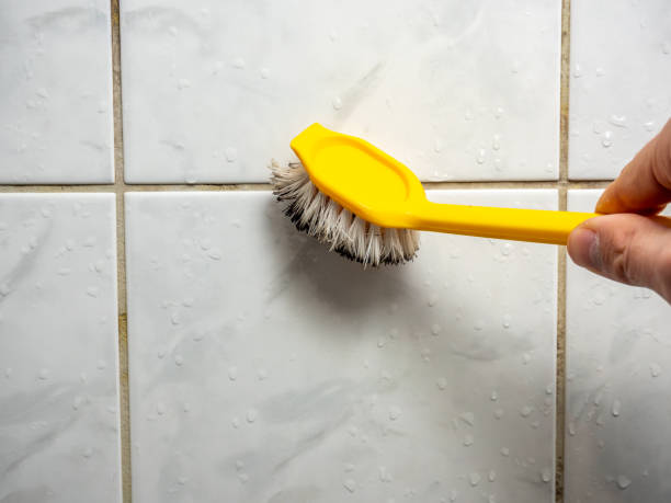 Best Home Mold Removal  in Romeovle, IL