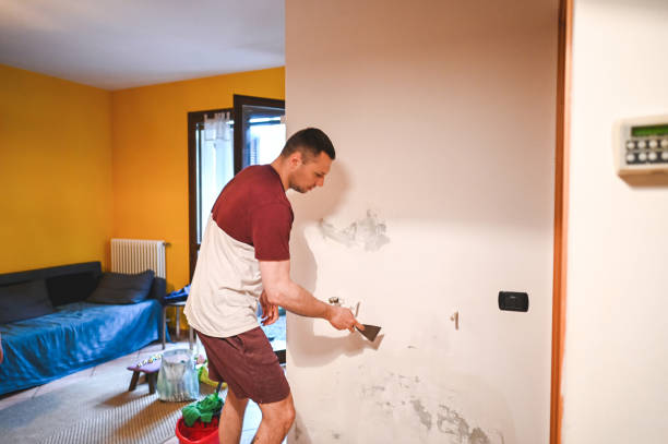 Office Mold Removal Services in Romeoville, IL